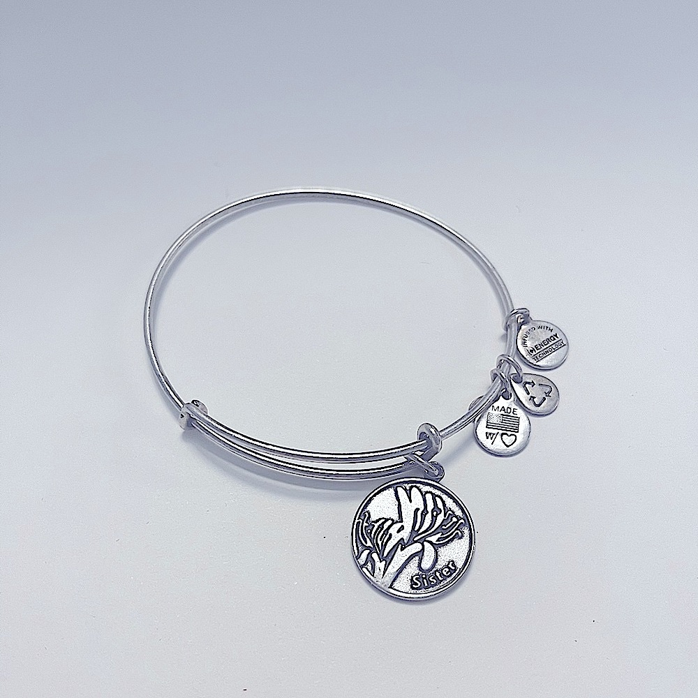 Alex and Ani Sister Bangle